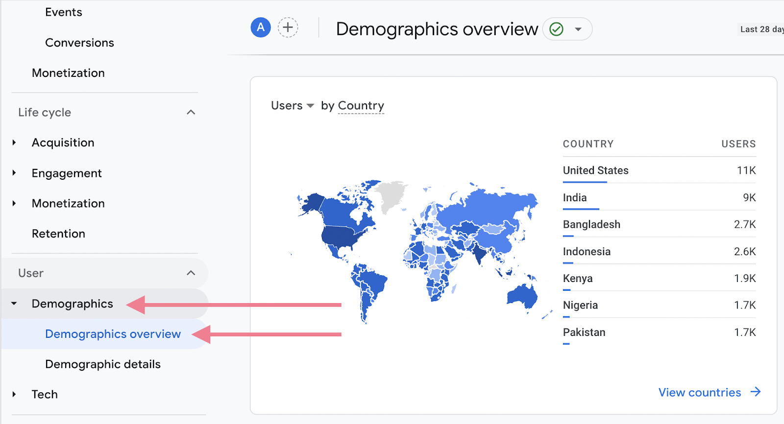 demographics overview GA4