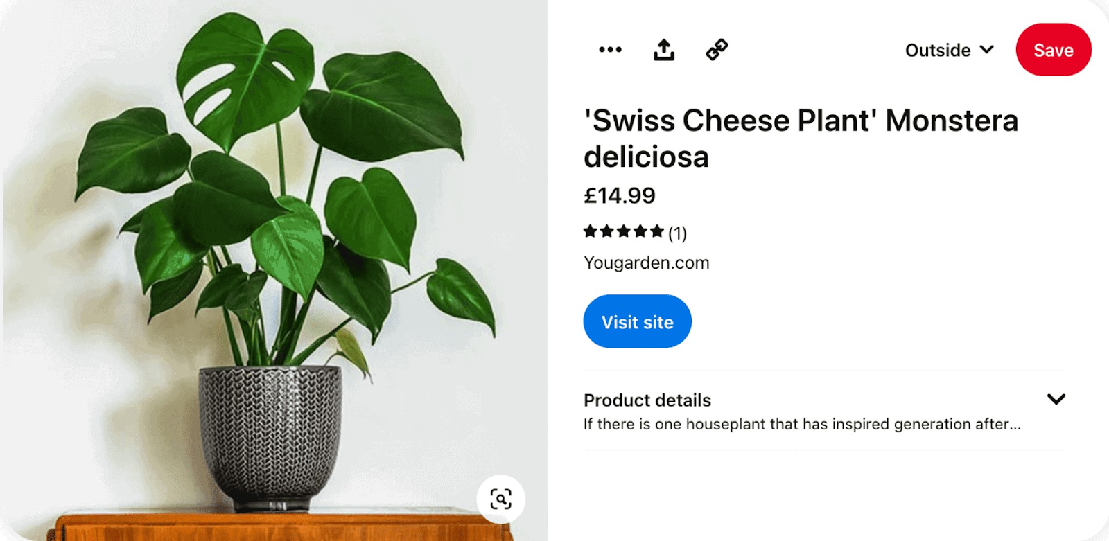 "Swiss Cheese Plant Monstera deliciosa" listing on Pinterest