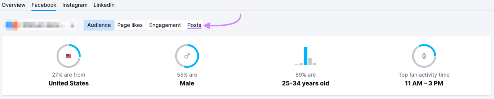 example of audience metrics for Facebook posts including location, sex, age and top activity time