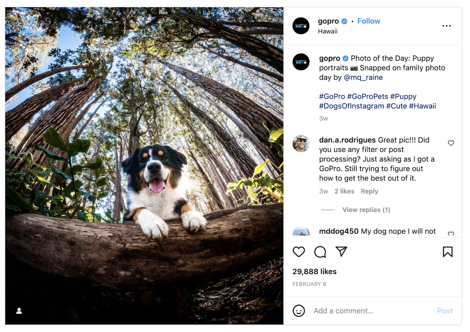 gopro instagram post