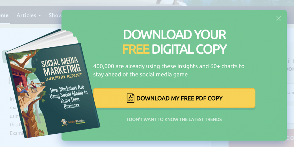 Social Media Examiner's report with "Download my free pdf copy" CTA